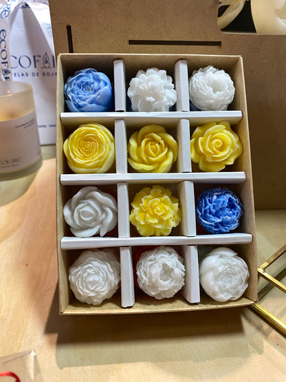 Caja de WAXMELTS